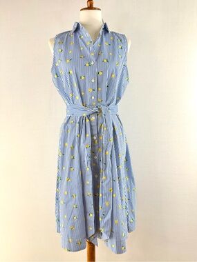 J. Crew Blue & White Stripe Lemon Print Sleeveless Button Front Shirt Dress NWT